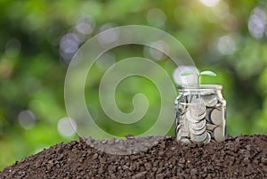 A glass jar with full coins and plant growing on top with soil to show concept saving money