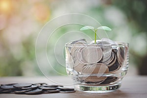 A glass jar with full of coins and tree growing on alot of coin on wooden table, step for future