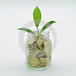 Glass jar full of coins photo