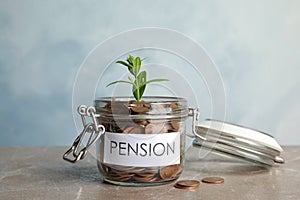 Glass jar with label PENSION, coins and green plant