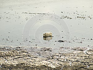 A Glass Jar littered on the wetlands
