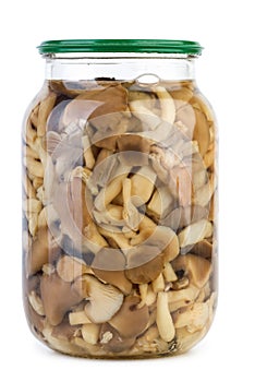 Glass jar with marinated honey agarics