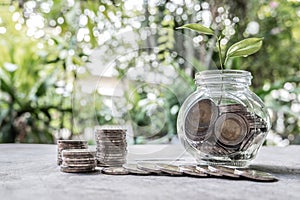 Glass jar piggy bank with coins. Plan your savings, run a growing business for success and save for retirement