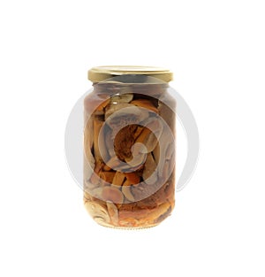 Preserved mushrooms photo