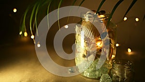 Glass jar of tropical shells for home decor. Marine style home accessories for beach themed interior decorating.