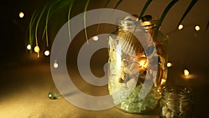 Glass jar of tropical shells for home decor. Marine style home accessories for beach themed interior decorating.