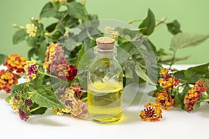 Glass jar with yellow essential oil