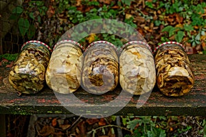 Glass jars with canned mushrooms on a wooden board