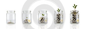 Glass jars with coins and plant isolated on white