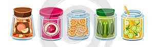 Glass Jars Collection with Different Food Inside Vector Set