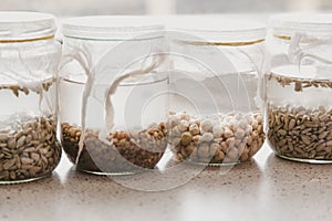 Glass jars with different grains