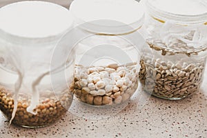 Glass jars with different grains