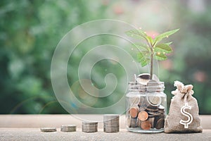 Glass jars, stacks of coins, lined up showing money growth