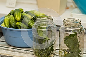 Glass jars on the table with herbs for preserving cucumbers