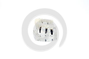 Glass jaw model with implanted dentures