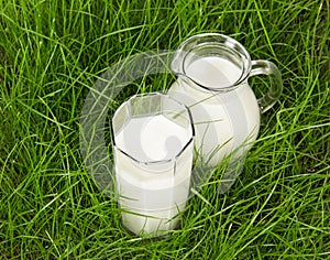 Glass and jug with fresh milk on green grass