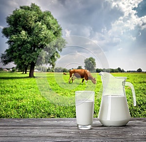 Glass and jug of milk against background of cow and pasture