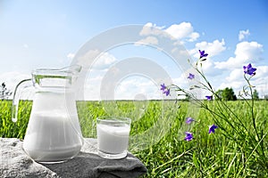 Glass jug with milk and a glass on the grass against a backdrop of picturesque green meadows with flowers