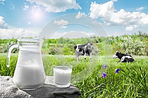 Glass jug with milk and a glass on the grass against a backdrop of picturesque green meadows with flowers