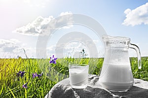 Glass jug with milk and a glass on the grass against a backdrop of picturesque green meadows with flowers at clear sunny summer da