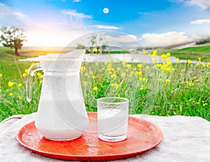 Glass jug with milk and a glass on the grass against a background of picturesque green meadows with flowers.