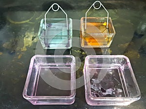 Glass laboratory containers with colored liquid samples on dark surface