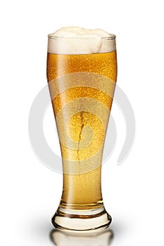 Glass with lager beer