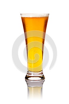 Glass of lager beer