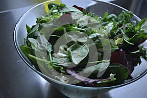 Glass large salad bowl with a mix of all salads, leaves of different salads located on a metallic background.