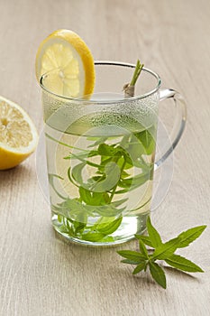 Glass with lemon verbena tea