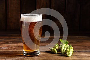 Glass of light beer on a dark pub. Glass beer on wood background with copy space