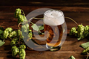 Glass of light beer on a dark pub. Glass beer on wood background with copy space