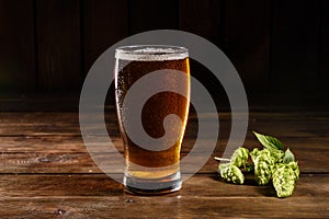 Glass of light beer on a dark pub. Glass beer on wood background with copy space