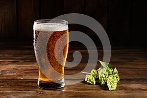 Glass of light beer on a dark pub. Glass beer on wood background with copy space