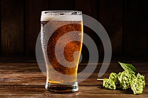 Glass of light beer on a dark pub. Glass beer on wood background with copy space