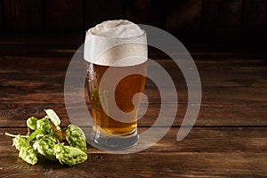 Glass of light beer on a dark pub. Glass beer on wood background with copy space