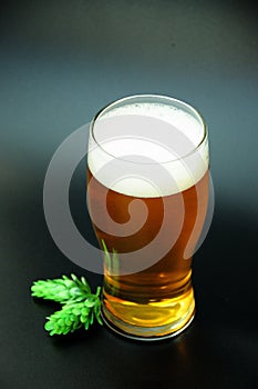 A glass of light beer with foam on a black background and hops next to it