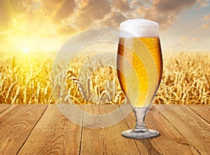 Glass of beer against wheat field