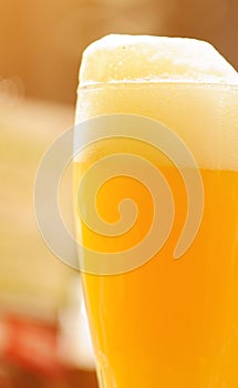 Glass of light beer on a pub background