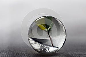 Glass marbles on white background