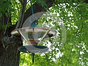 A Glass and Metal Birdfeeder