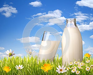 Glass of milk and bottle in grass