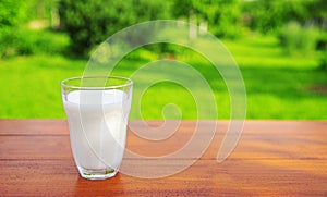 A glass of milk on the garden table.