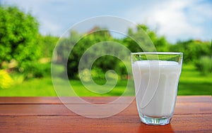 A glass of milk on the garden table.