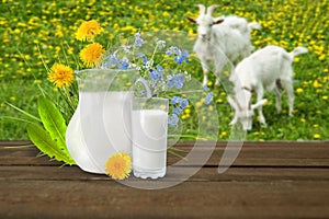Glass of milk and goats