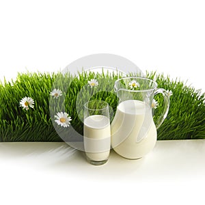 Glass of milk and jar on flower meadow