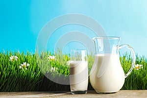 Glass of milk and jar on flower meadow