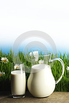 Glass of milk and jar on flower meadow