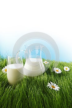 Glass of milk and jar on flower meadow