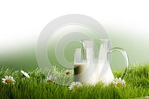 Glass of milk and jar on flower meadow